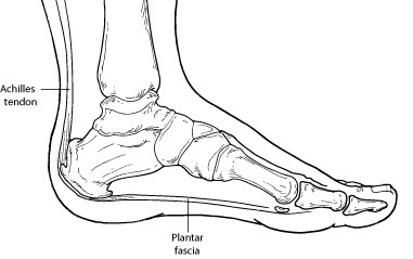 heel